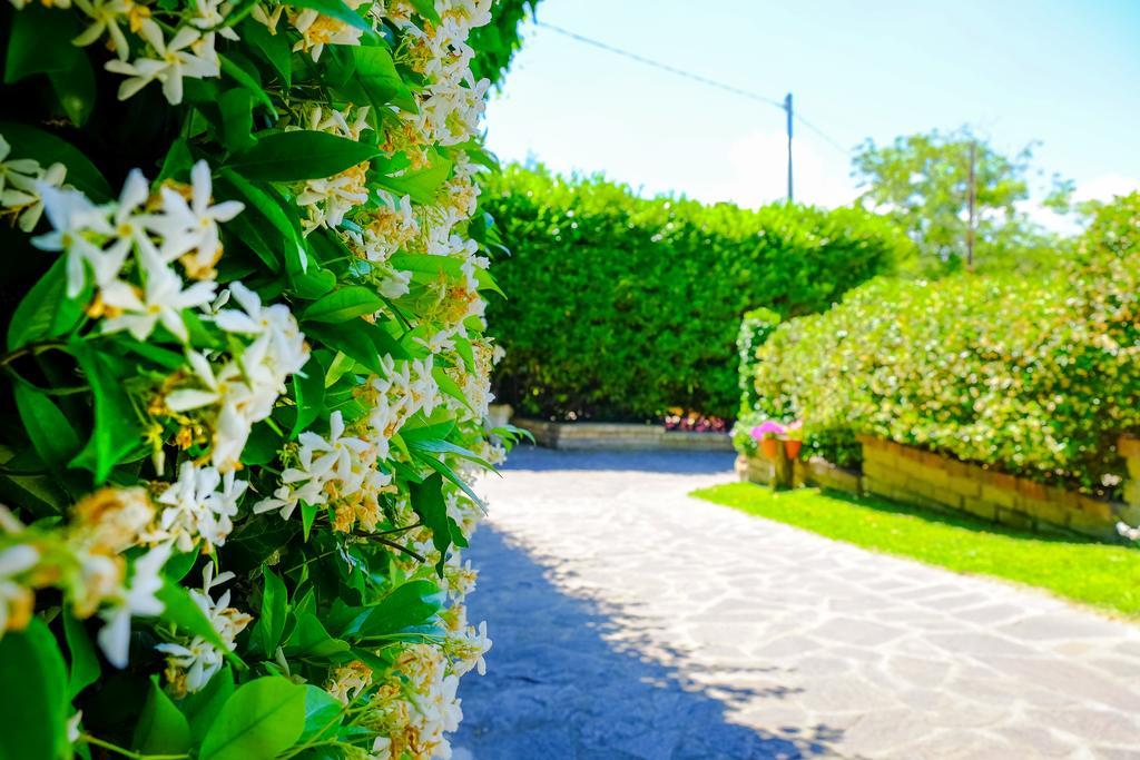 La Dolce Sosta Bed & Breakfast กัมปาญญาโน ดิ โรมา ภายนอก รูปภาพ